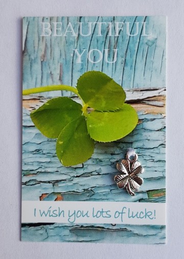 006 beautiful you   i wish you lots of luck