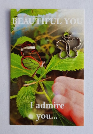 023 beautiful you   i admire you