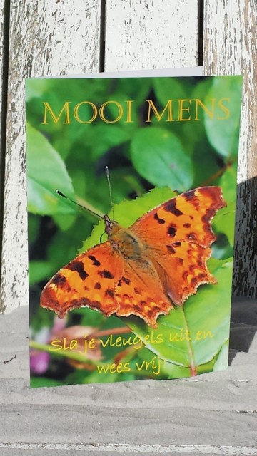 1 sla je vleugels uit en wees vrij