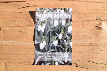 100 mooi mens   ook nu je niet naar buiten kan is hier toch een stukje lente voor jou