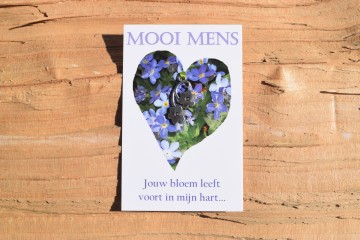 103 mooi mens   jouw bloem leeft voort in mijn hart