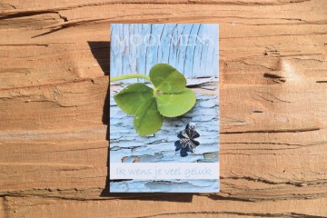 11 mooi mens   ik wens je veel geluk