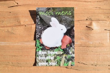 110 mooi mens   een lieve knuffel voor jou