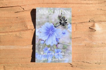 117 mooi mens   wat een geluk dat ik jou ken