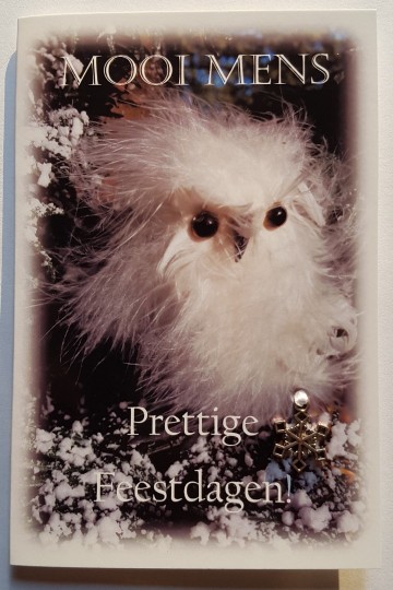 12 prettige feestdagen