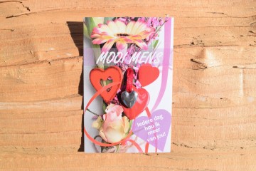 122 mooi mens   iedere dag hou ik meer van jou