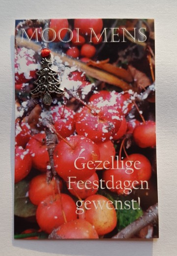 141003 gezellige feestdagen gewenst  0