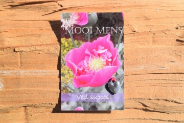 36 mooi mens   veel succes