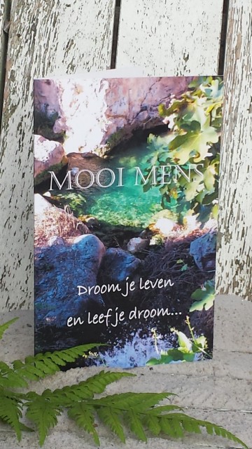 4 droom je leven en leef je droom