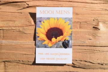 4 mooi mens   heel veel mogelijkheden voor herstel gewenst
