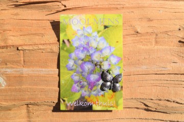 40 mooi mens   welkom thuis