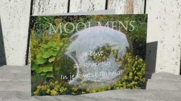 5 je bent zo krachtig in je kwetsbaarheid