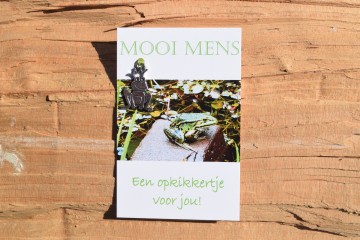 56 mooi mens   een opkikkertje voor jou