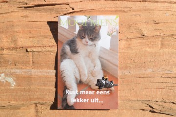 57 mooi mens   rust maar eens lekker uit