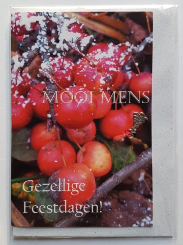 61 gezellige feestdagen