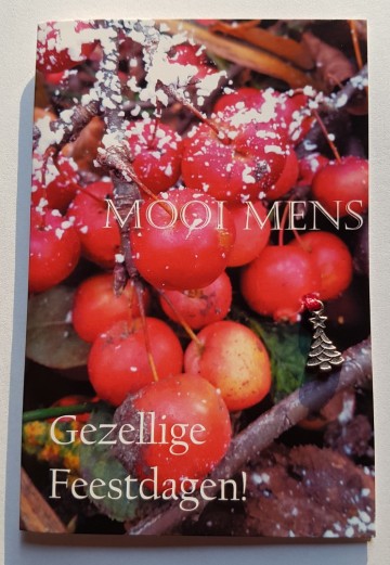 62 gezellige feestdagen