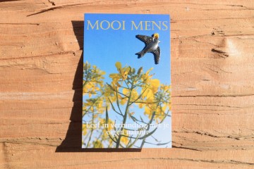 62 mooi mens    leef in verbinding met je eigen natuur