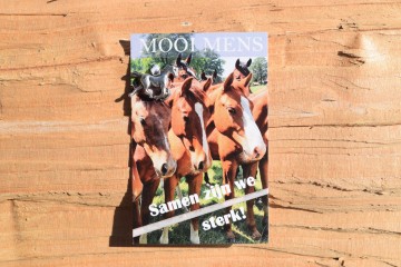 64 mooi mens   samen zijn we sterk