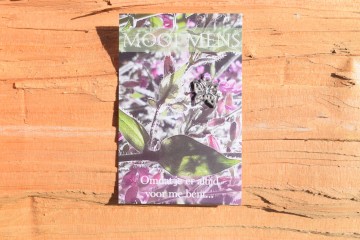 67 mooi mens   omdat je er altijd voor me bent