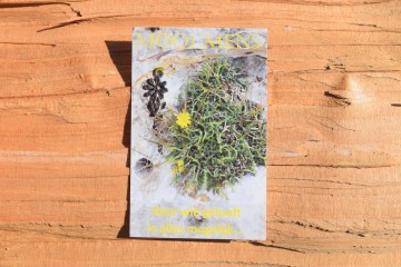 79 mooi mens   voor wie gelooft is alles mogelijk