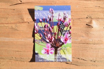 83 mooi mens   laat al je talenten maar tot volle bloei komen