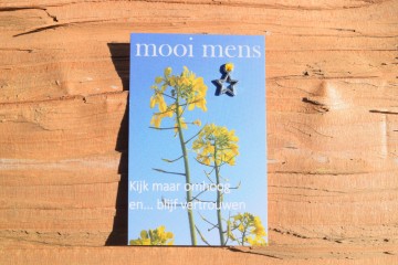 85 mooi mens   kijk maar omhoog en blijf vertrouwen