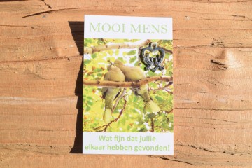 92 mooi mens   wat fijn dat jullie elkaar hebben gevonden