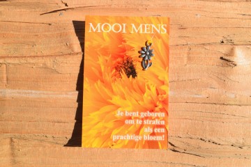 96 mooi mens   je bent geboren om te stralen als een prachtige bloem