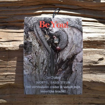 Be you 145002   1e chakra